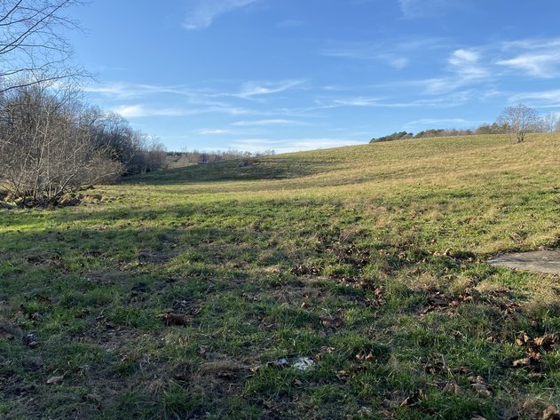 Image for 25.13 +/- Acres w/Creek on Property & 350' +/- of Road Frontage in Madison County, VA--SELLING to the HIGHEST BIDDER!!