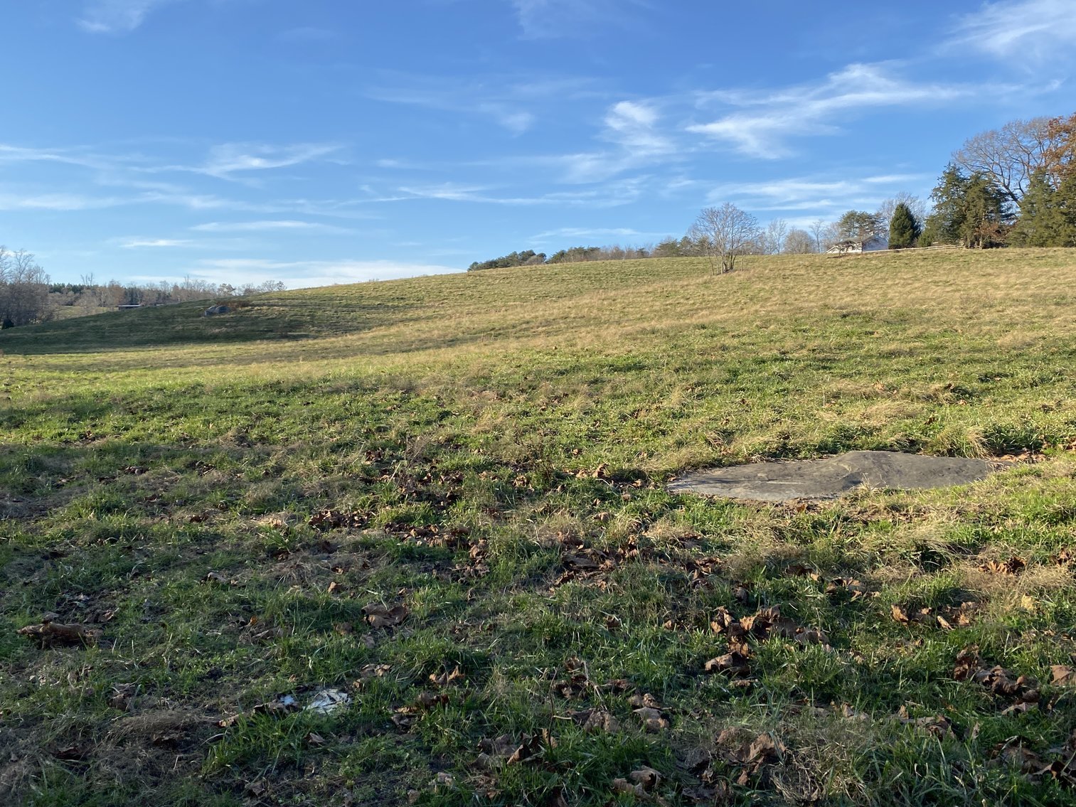 Image for 25.13 +/- Acres w/Creek on Property & 350' +/- of Road Frontage in Madison County, VA--SELLING to the HIGHEST BIDDER!!