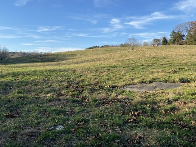 Image for 25.13 +/- Acres w/Creek on Property & 350' +/- of Road Frontage in Madison County, VA--SELLING to the HIGHEST BIDDER!!