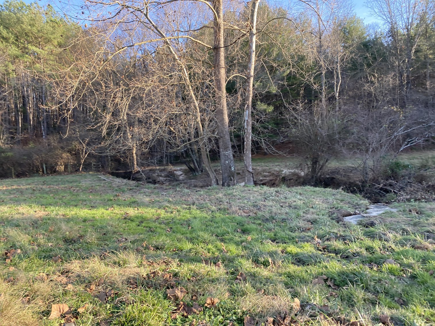 Image for 25.13 +/- Acres w/Creek on Property & 350' +/- of Road Frontage in Madison County, VA--SELLING to the HIGHEST BIDDER!!