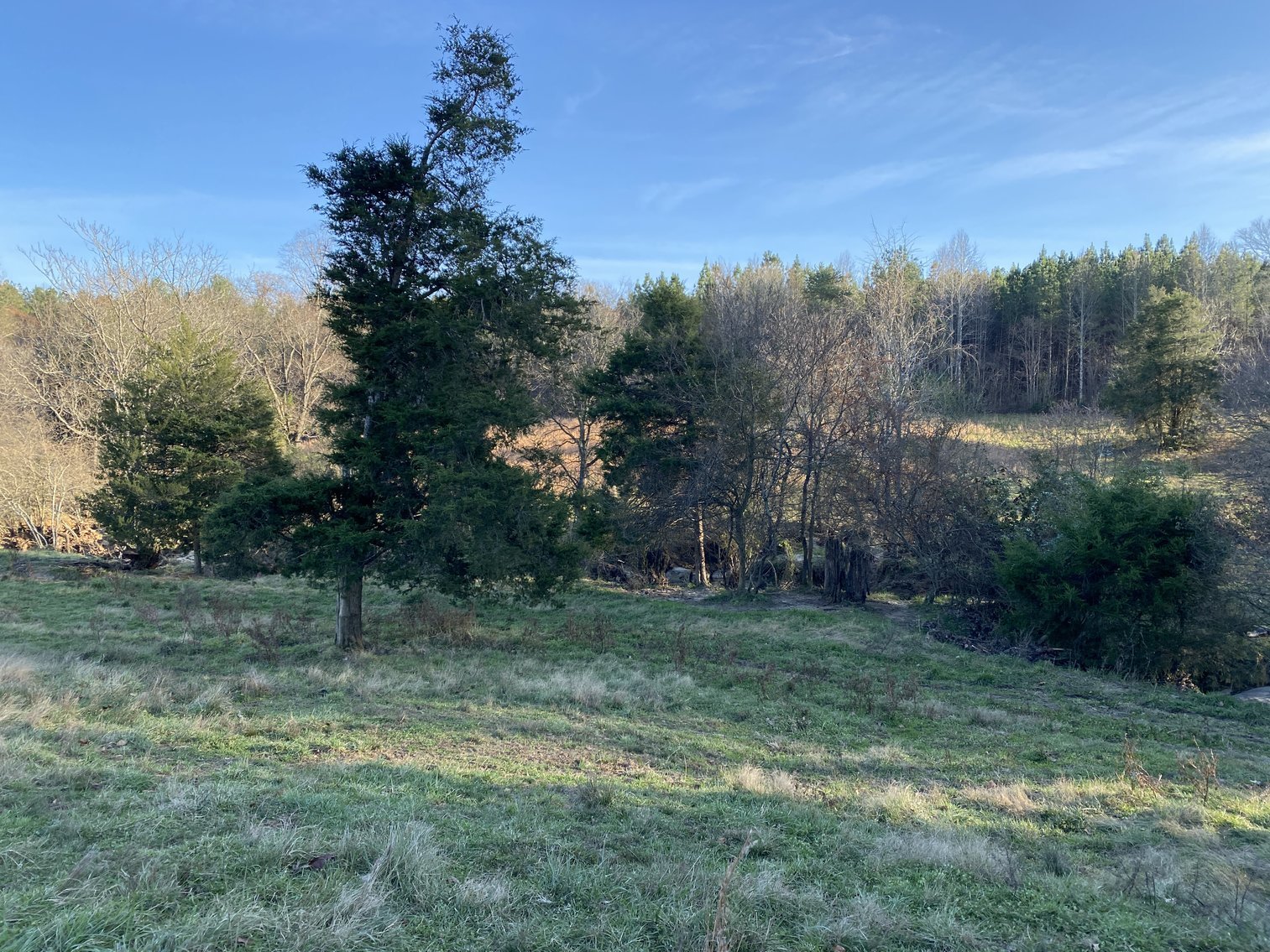 Image for 25.13 +/- Acres w/Creek on Property & 350' +/- of Road Frontage in Madison County, VA--SELLING to the HIGHEST BIDDER!!