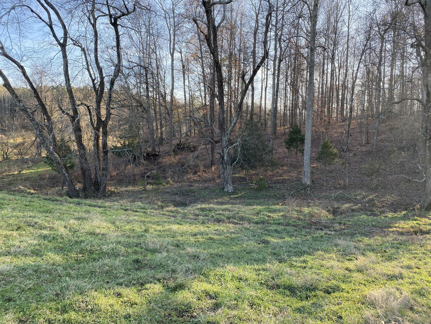 Image for 25.13 +/- Acres w/Creek on Property & 350' +/- of Road Frontage in Madison County, VA--SELLING to the HIGHEST BIDDER!!