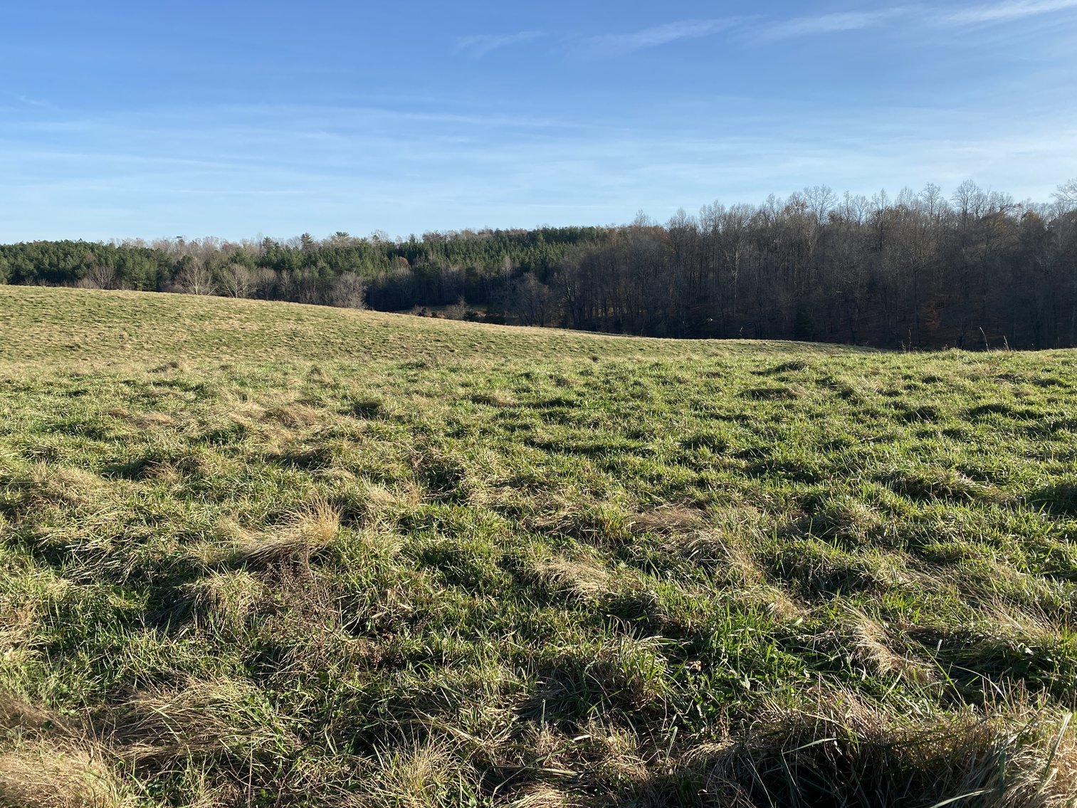 Image for 25.13 +/- Acres w/Creek on Property & 350' +/- of Road Frontage in Madison County, VA--SELLING to the HIGHEST BIDDER!!
