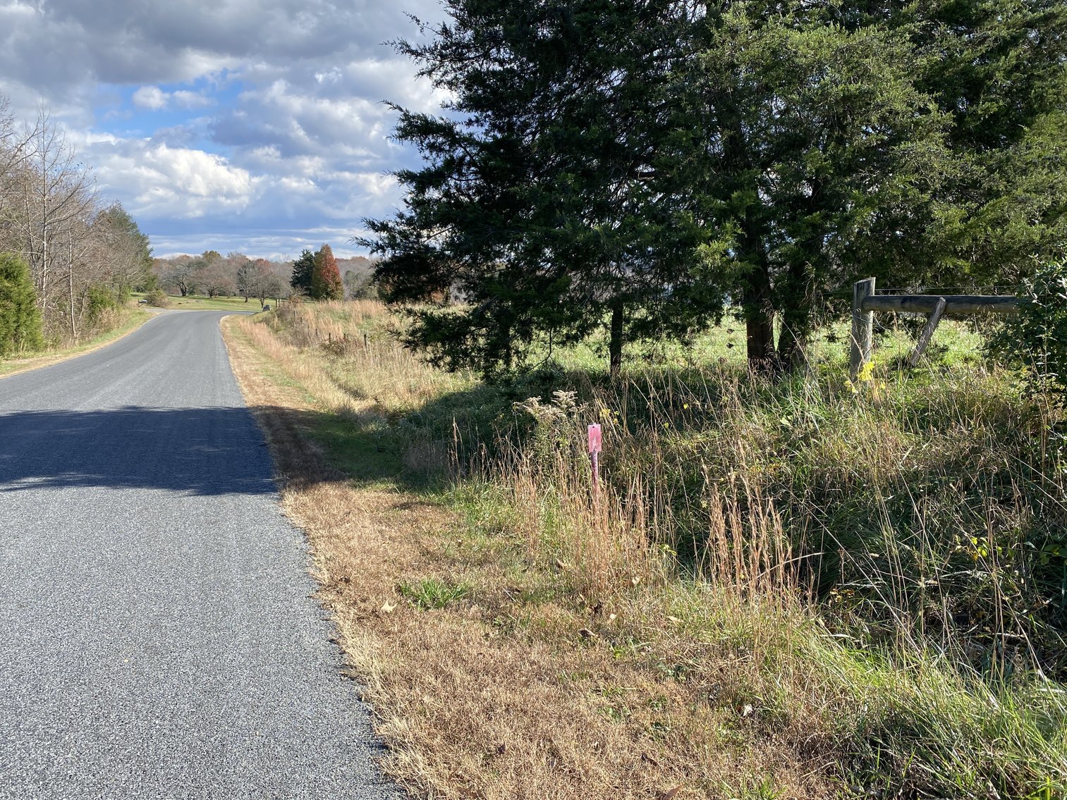 Image for 16.37 +/- Acres w/Creek on Property & 2 large areas of ingress/egress on Tanners Rd. in Madison County, VA--SELLING to the HIGHEST BIDDER!!