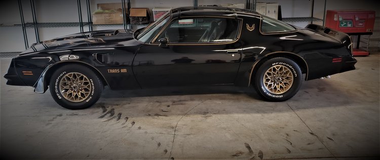 Image for 1968 Pontiac GTO & 1977 Pontiac Trans AM Special Edition