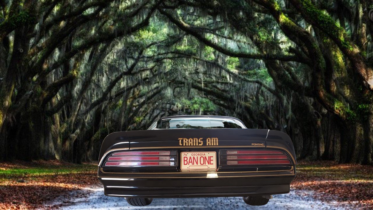 Image for 1968 Pontiac GTO & 1977 Pontiac Trans AM Special Edition