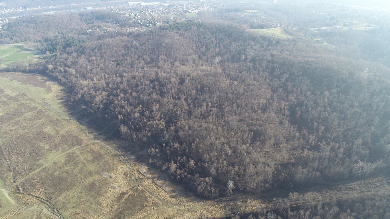 Image for SOLD $275,000 - 242 Acres Sold to the Highest Bidder