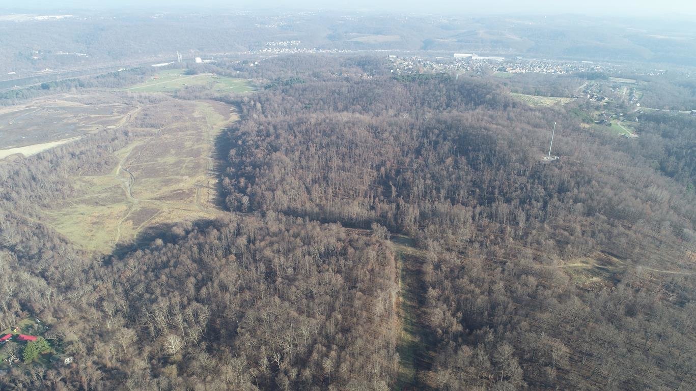 Image for SOLD $275,000 - 242 Acres Sold to the Highest Bidder