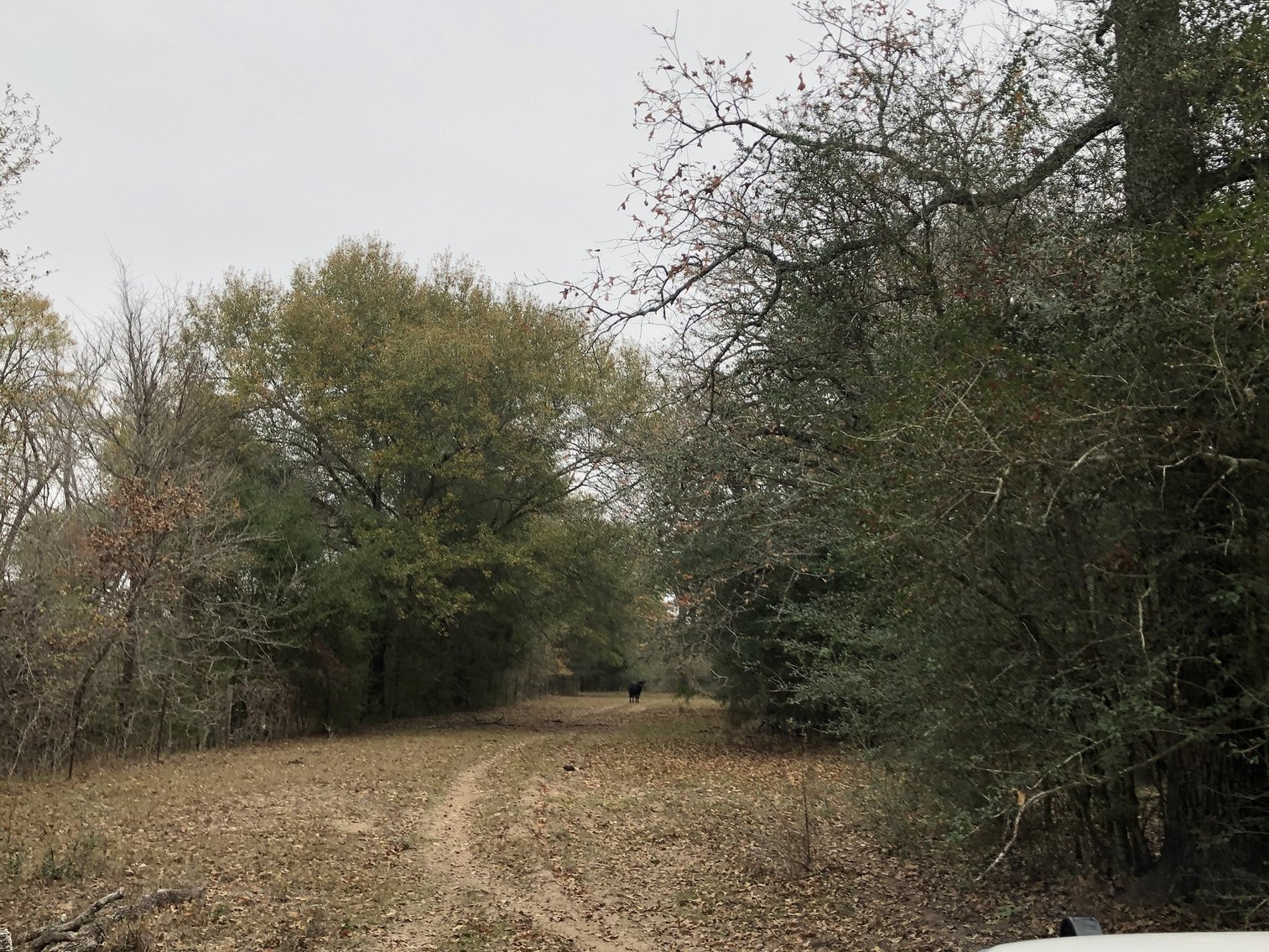 Image for 00 CR 430, Dime Box 77853 - Lee County