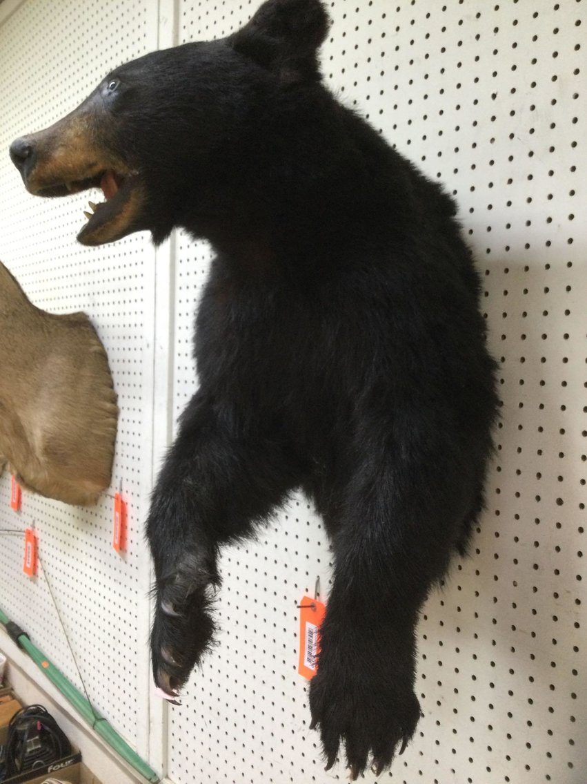 Image for Furniture, Collectibles, Christmas decorations, Household-Main building front