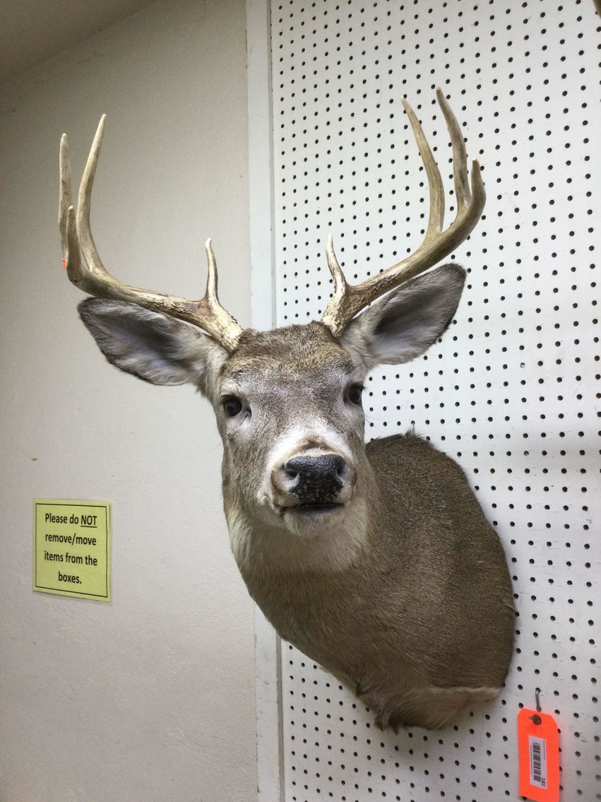 Image for Furniture, Collectibles, Christmas decorations, Household-Main building front