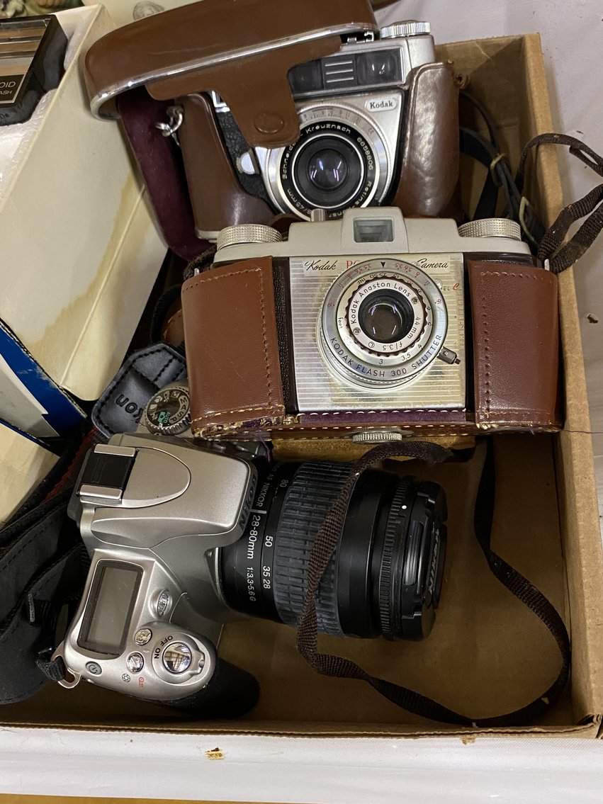 Image for Evening Auction