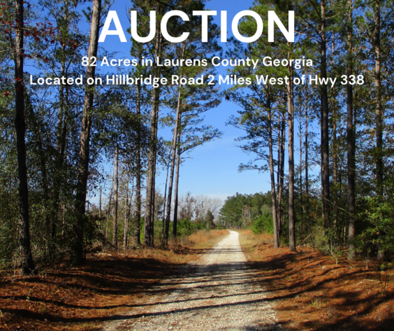 Image for LIVE AUCTION -  January 21, 2021