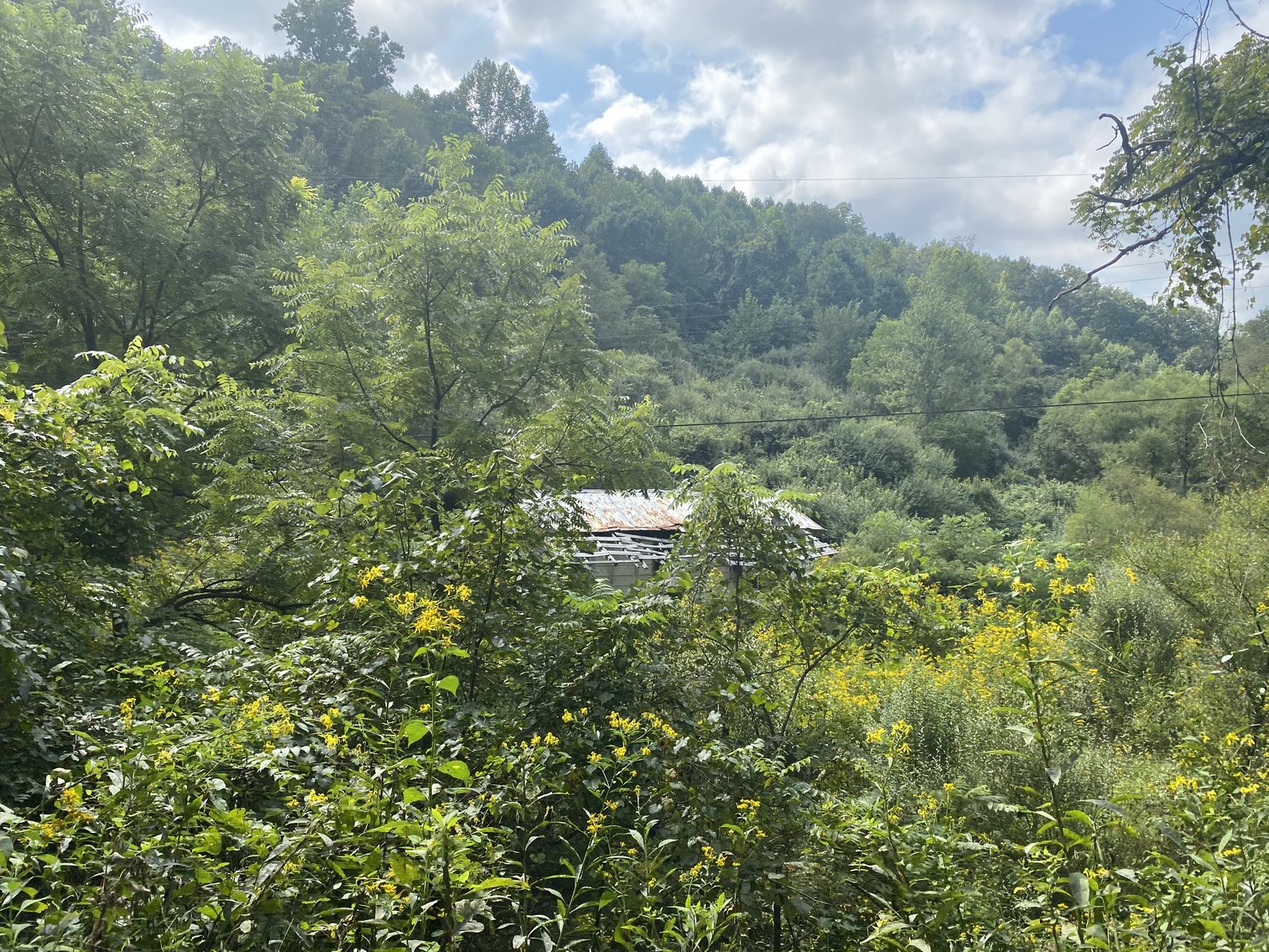 Image for SOLD $80,300 - 90+/- Acres