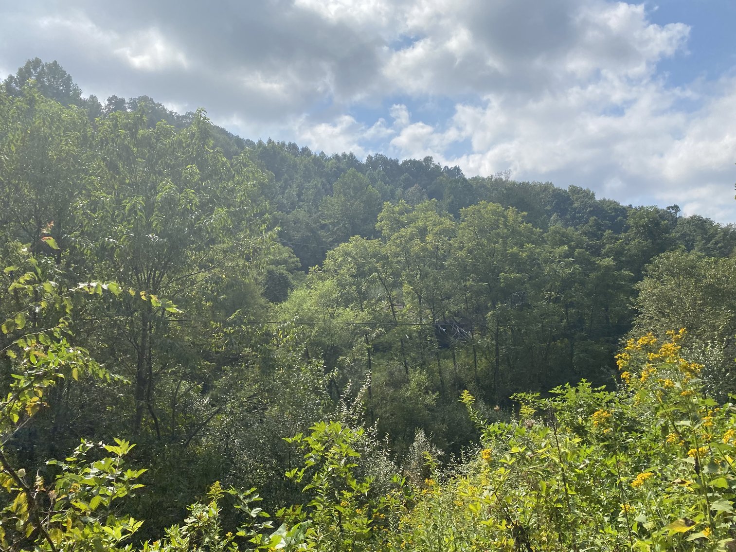 Image for SOLD $80,300 - 90+/- Acres