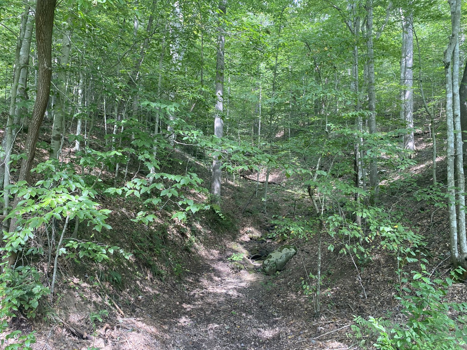 Image for SOLD $80,300 - 90+/- Acres