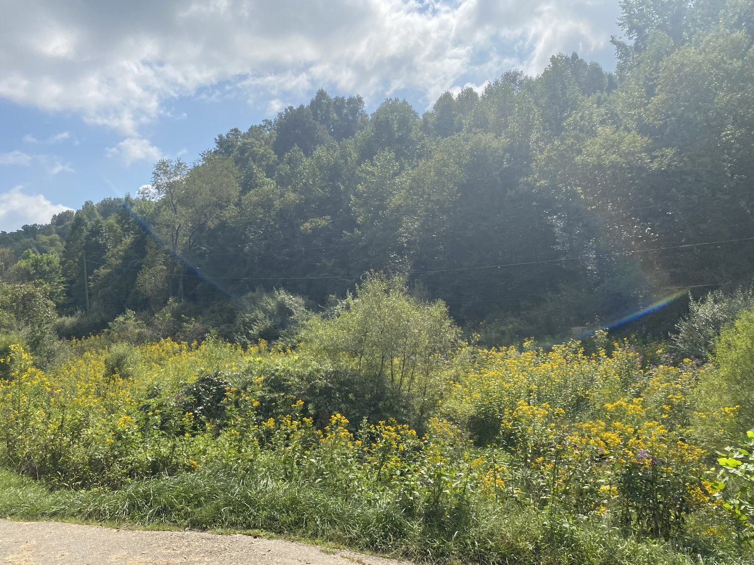 Image for SOLD $80,300 - 90+/- Acres