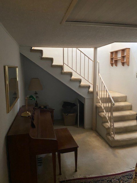 Image for ABSOLUTE AUCTION! 318 IRA RD