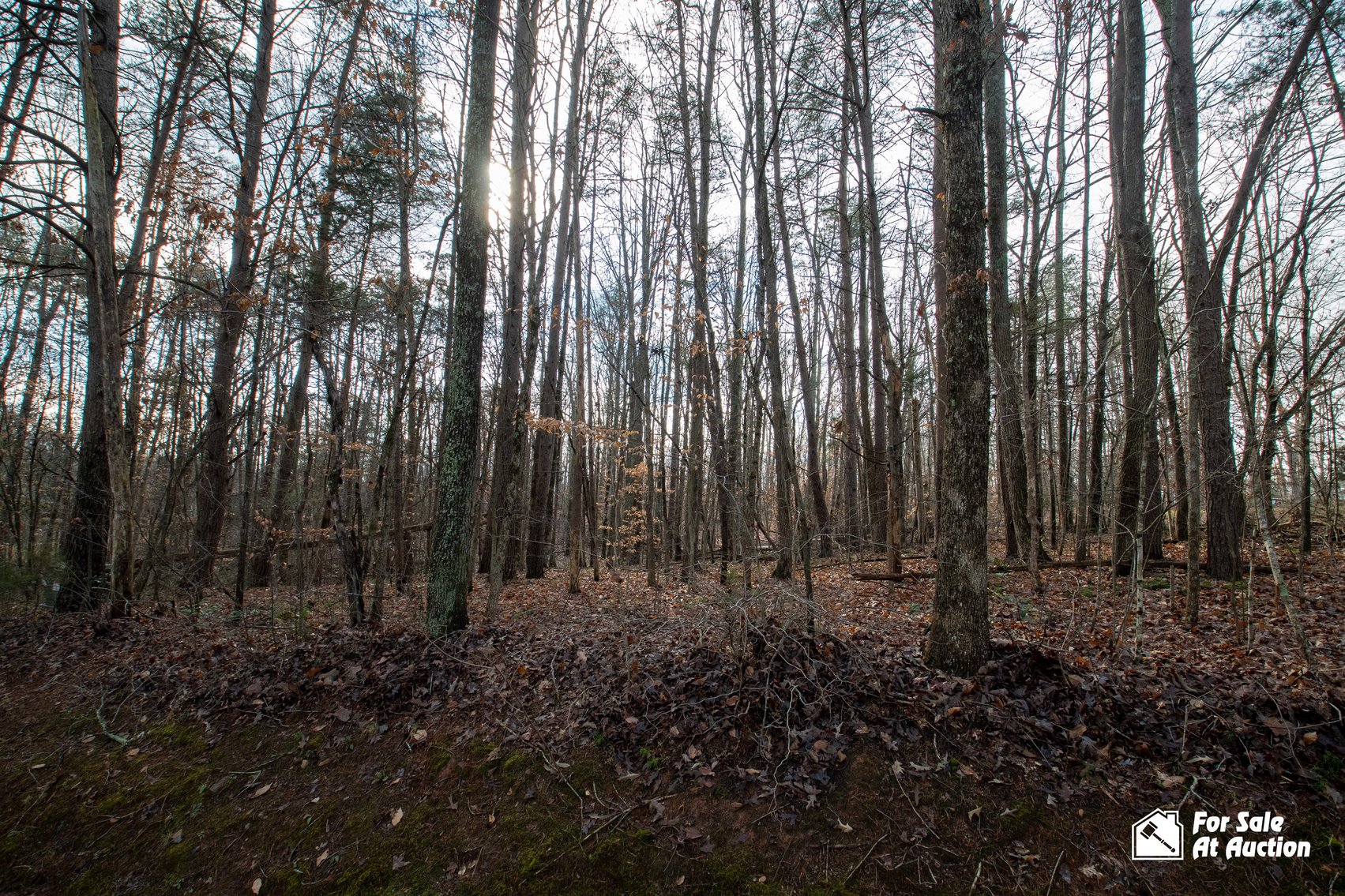 Image for Lot 13, S. Bluewater Boulevard; Mineral, VA