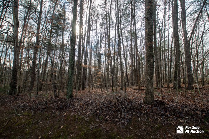 Image for Lot 13, S. Bluewater Boulevard; Mineral, VA