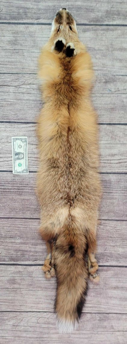 Image for January 2021 Discovery Auction