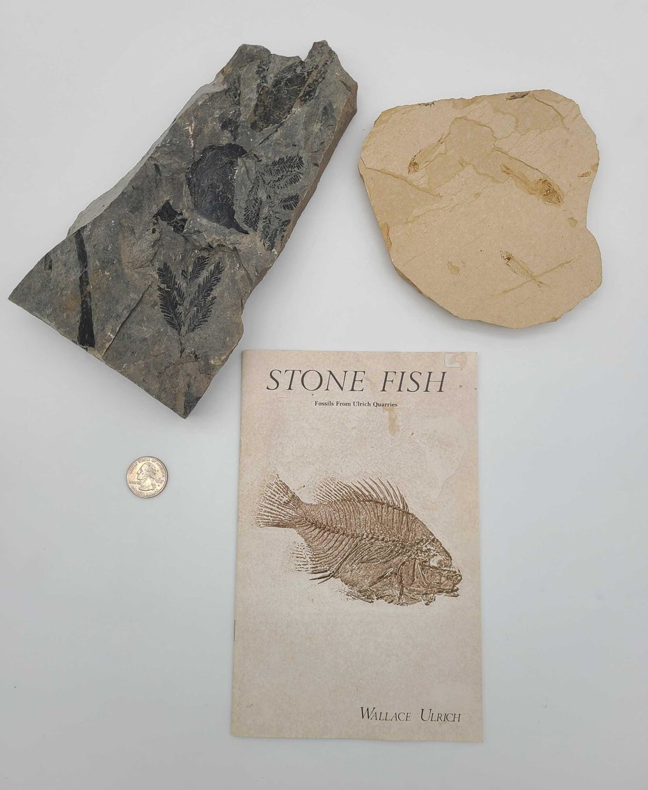 Image for January 2021 Discovery Auction