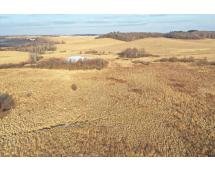Image for 300(+/-) Acre Farm Hehli Estate - Eau Claire County