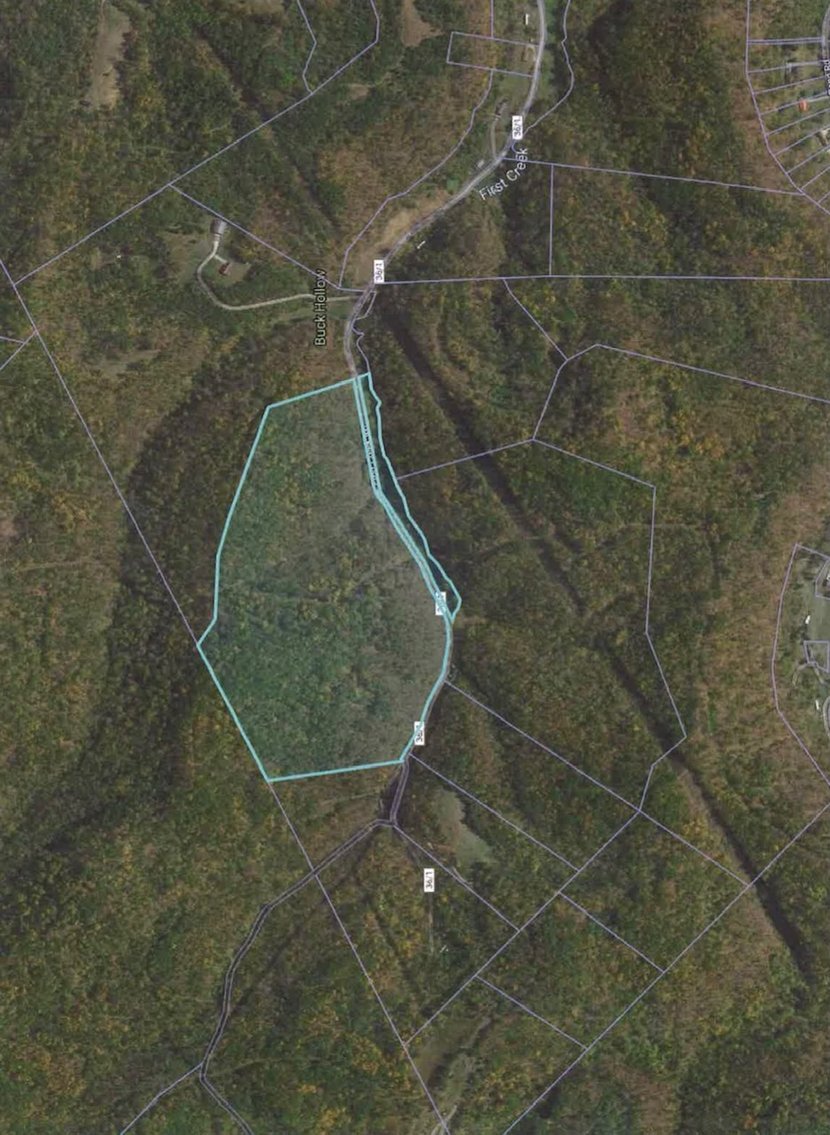 Image for SOLD $46,750 - 60 Acres in Charleston with Minerals