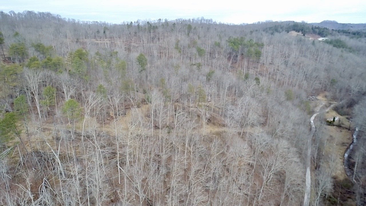 Image for SOLD $46,750 - 60 Acres in Charleston with Minerals