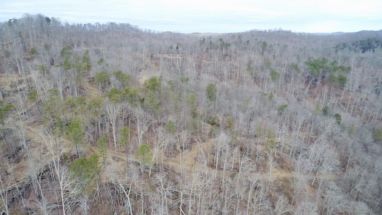 Image for SOLD $46,750 - 60 Acres in Charleston with Minerals
