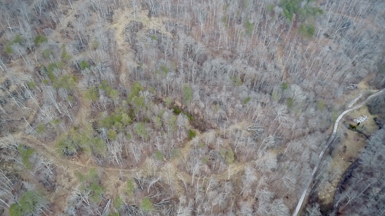 Image for SOLD $46,750 - 60 Acres in Charleston with Minerals