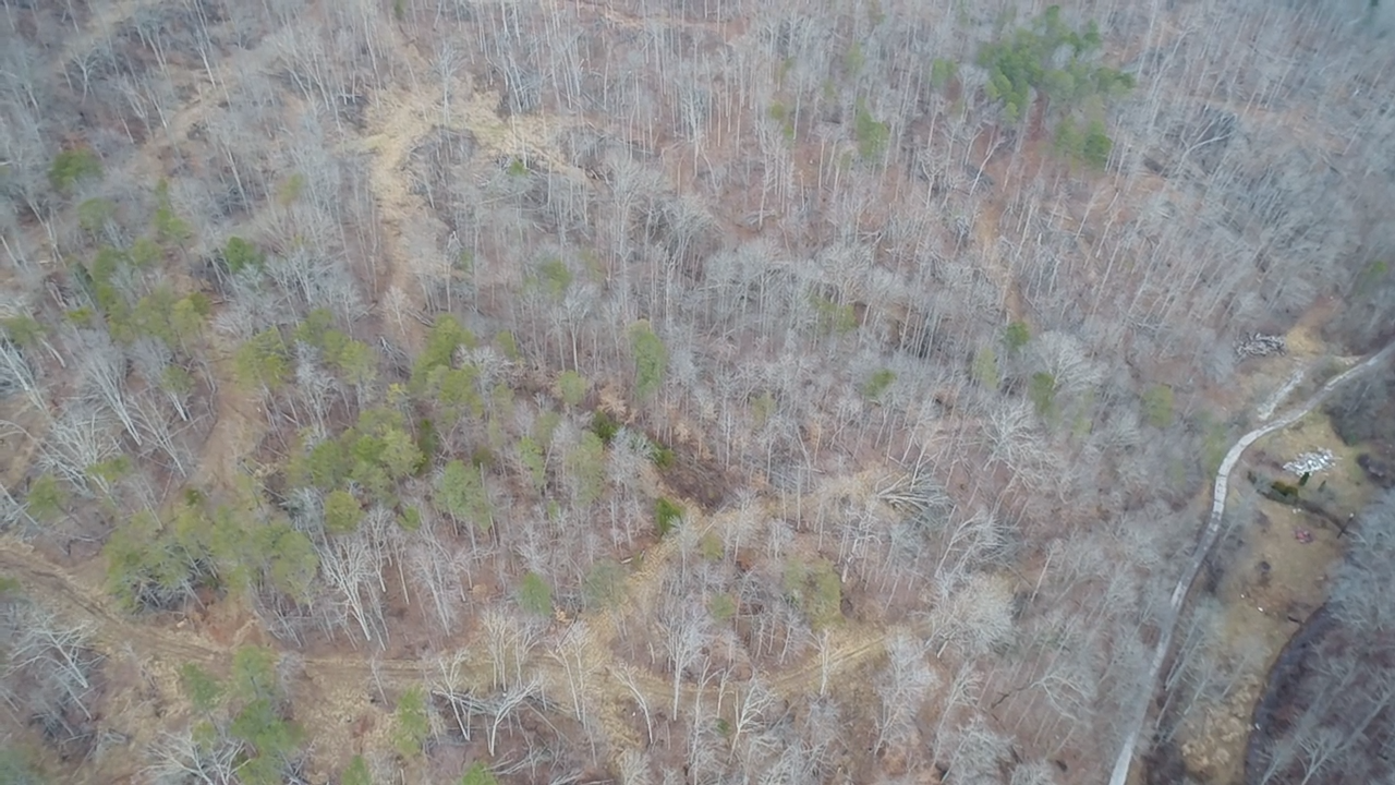 Image for SOLD $46,750 - 60 Acres in Charleston with Minerals