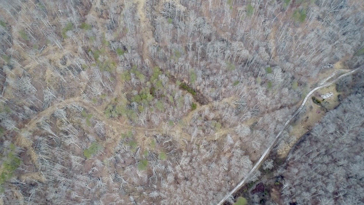 Image for SOLD $46,750 - 60 Acres in Charleston with Minerals