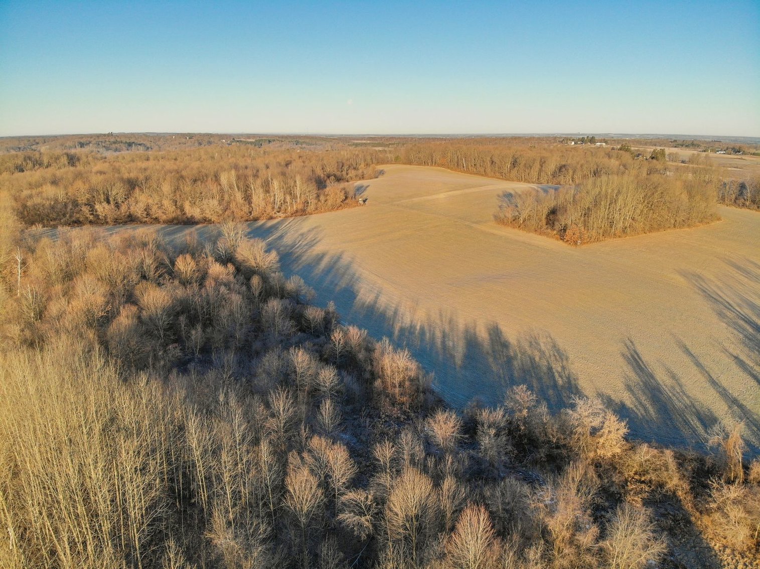 Image for Barron County 73 Acres Organic Farm and Hunting Land