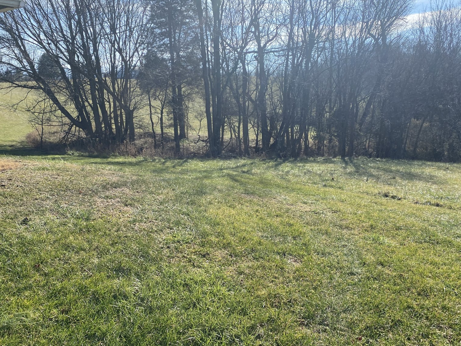 Image for 4 BR/3 BA Home on 20 +/- Acres w/Gorgeous Mountain Views, Multiple Barns/Outbuildings & Creek on Property--Page County, VA