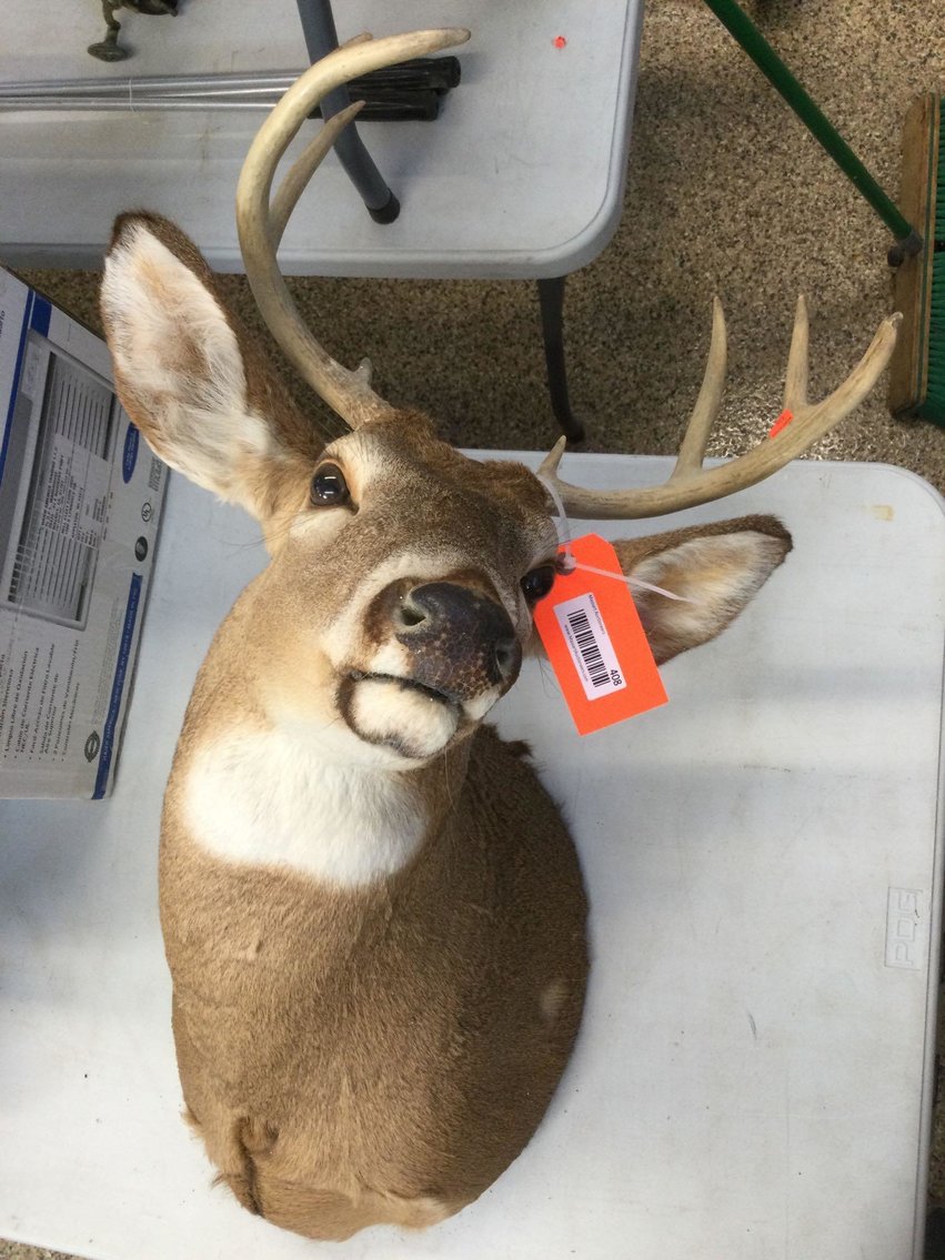 Image for Furniture, Collectibles, Household-Main building front half