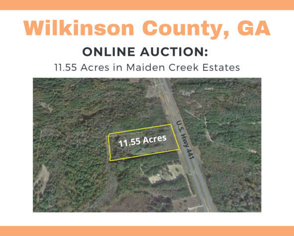 Image for ONLINE AUCTION - Wilkinson County, GA