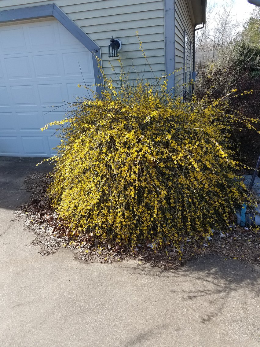 Image for 3 BR/2.5 BA Home on 1.37 +/- Acres w/Barn/Shop & Cottage--Fauquier County, VA
