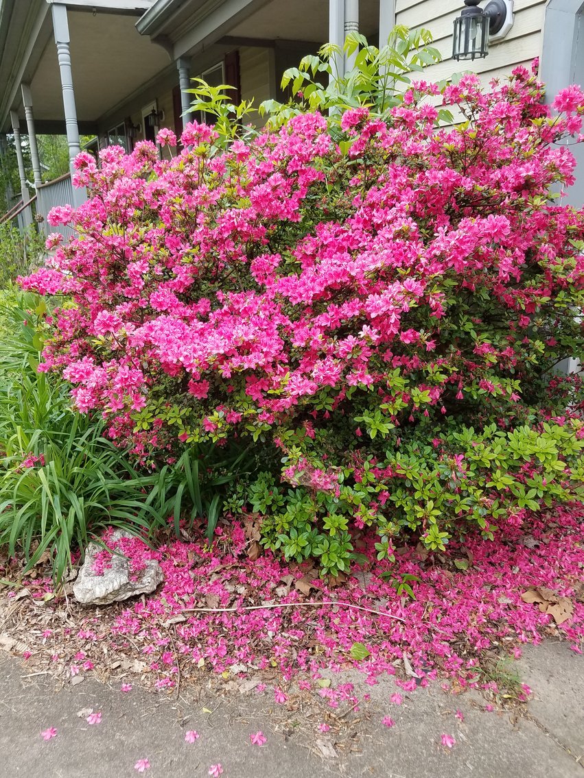 Image for 3 BR/2.5 BA Home on 1.37 +/- Acres w/Barn/Shop & Cottage--Fauquier County, VA