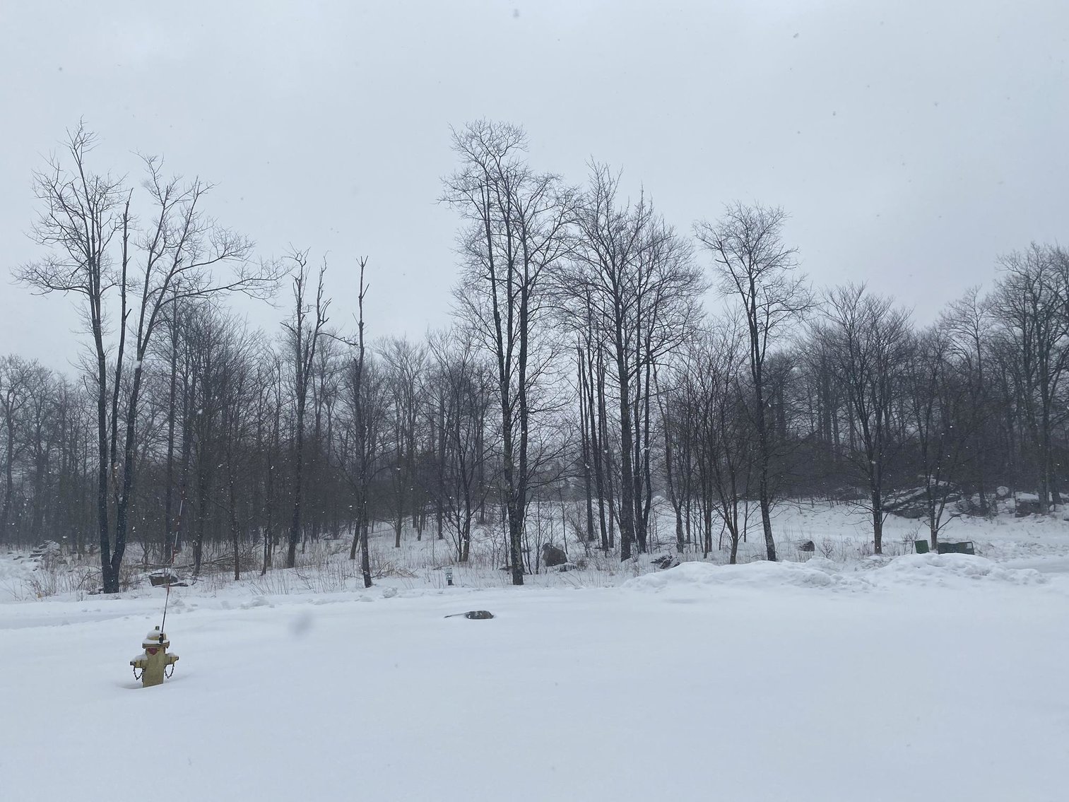 Image for SOLD $81,400 - Building Lot at Wisp Mountain Ski Resort