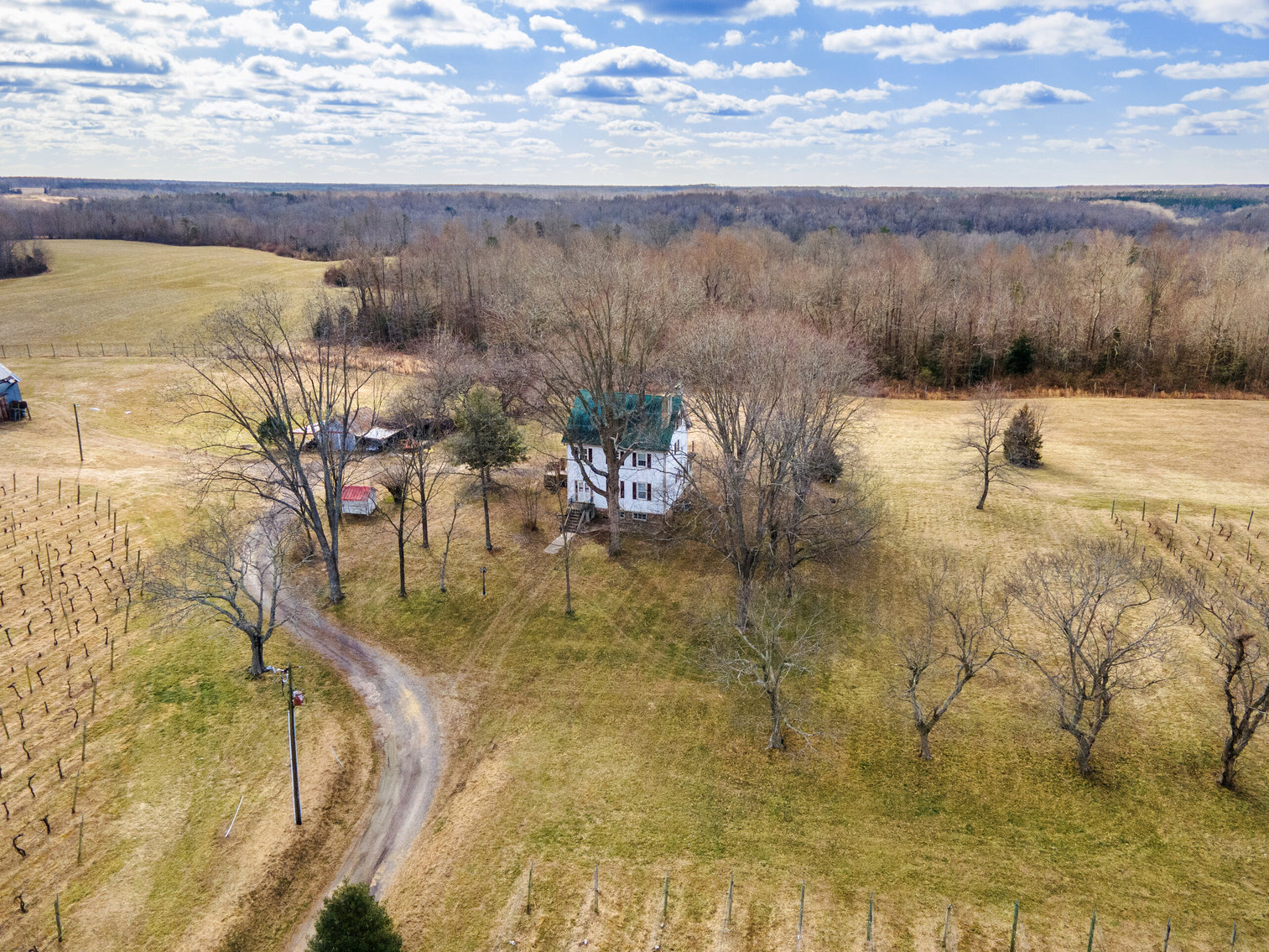 Image for 109 +/- Acres w/3 BR/2 BA  Farm House, Outbuildings & Grapevines/Vineyard--Essex County, VA