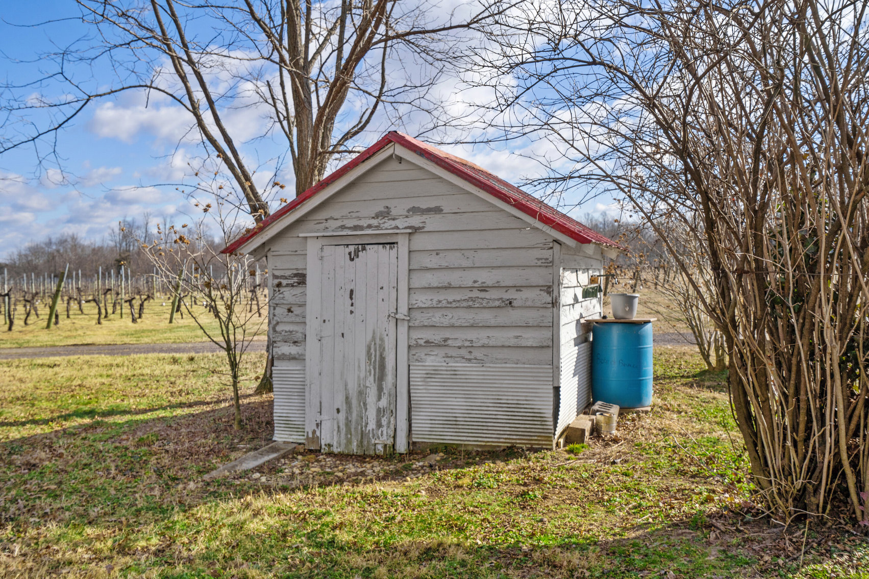 Image for 109 +/- Acres w/3 BR/2 BA  Farm House, Outbuildings & Grapevines/Vineyard--Essex County, VA
