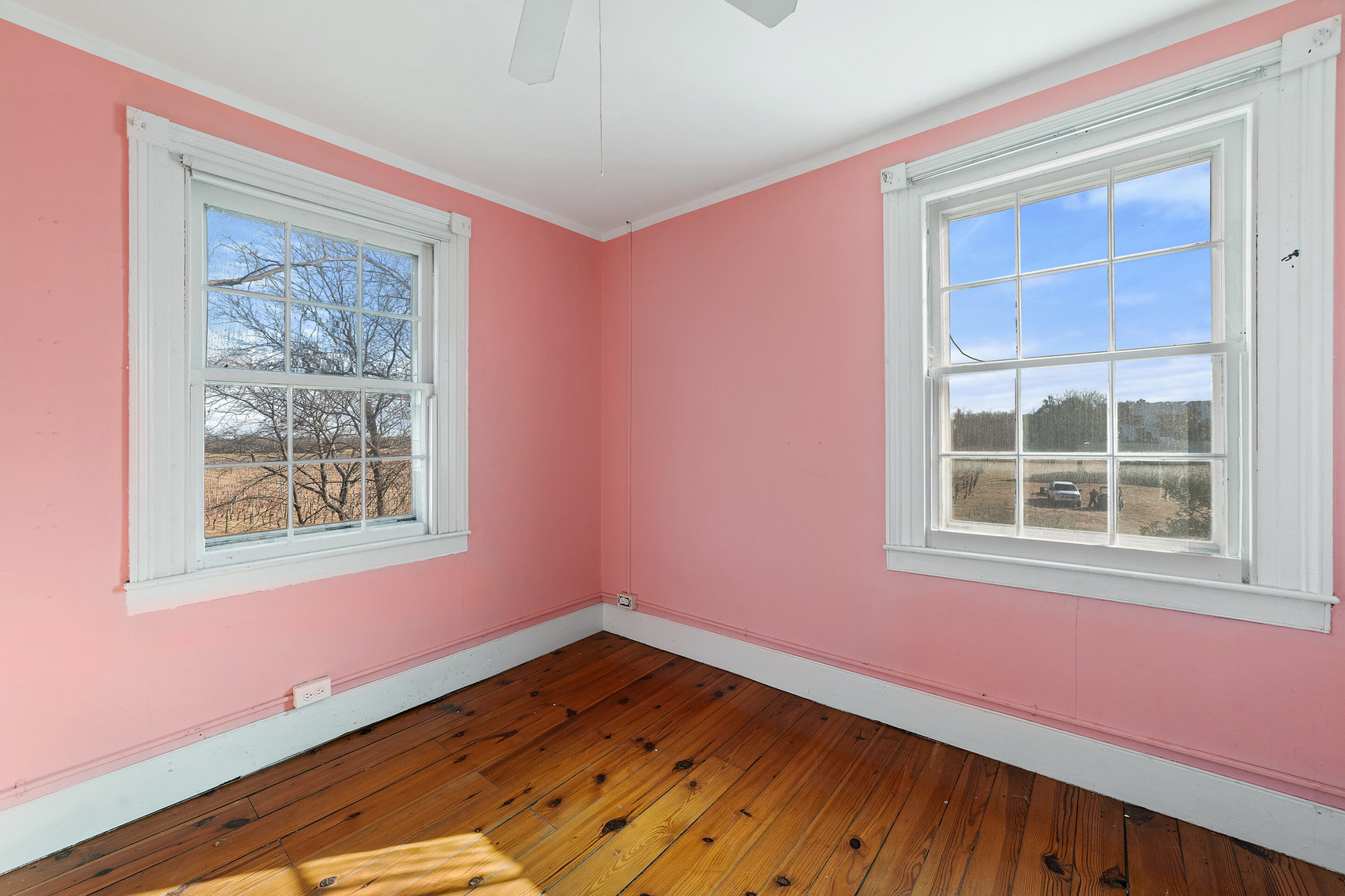 Image for 109 +/- Acres w/3 BR/2 BA  Farm House, Outbuildings & Grapevines/Vineyard--Essex County, VA