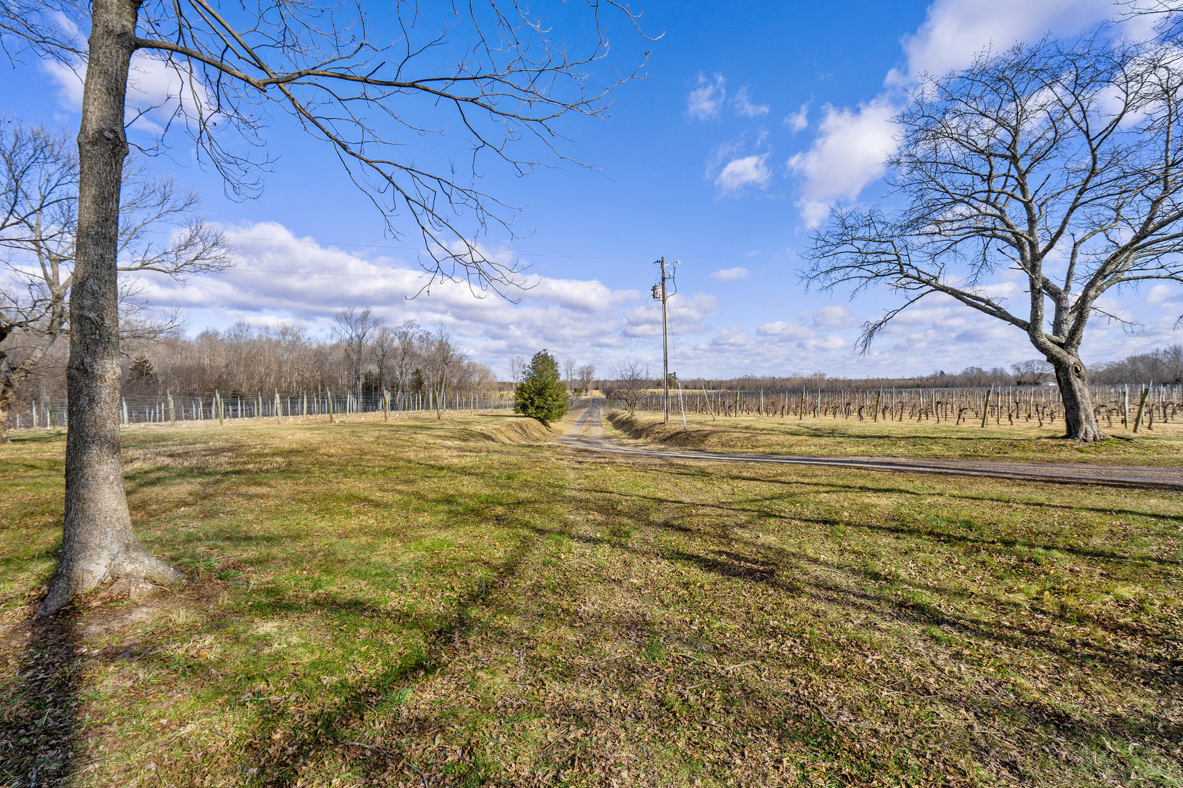 Image for 109 +/- Acres w/3 BR/2 BA  Farm House, Outbuildings & Grapevines/Vineyard--Essex County, VA