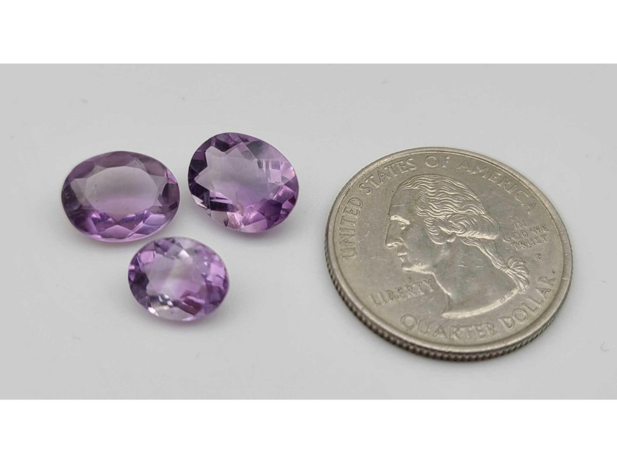 Image for Gail Niebrugge Living Estate Auction