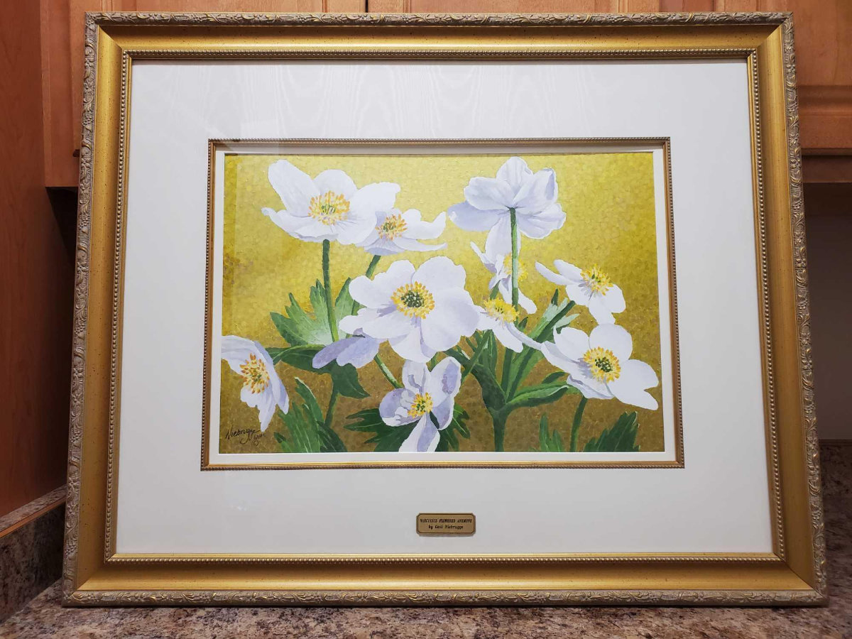 Image for Gail Niebrugge Living Estate Auction