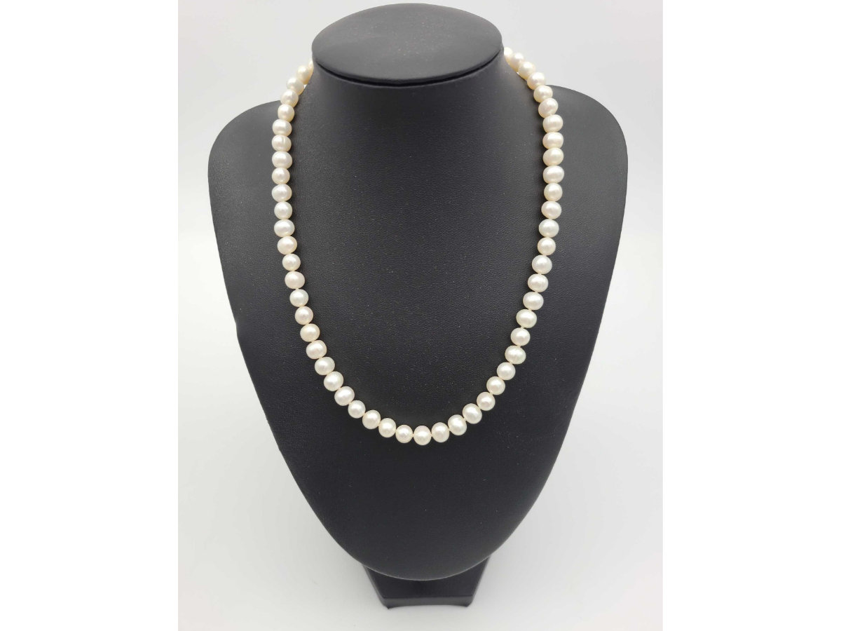 Image for Gail Niebrugge Living Estate Auction