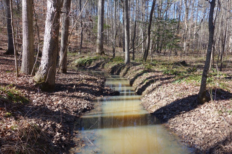 108.53 Acres Peach Road Ridgeway, SC