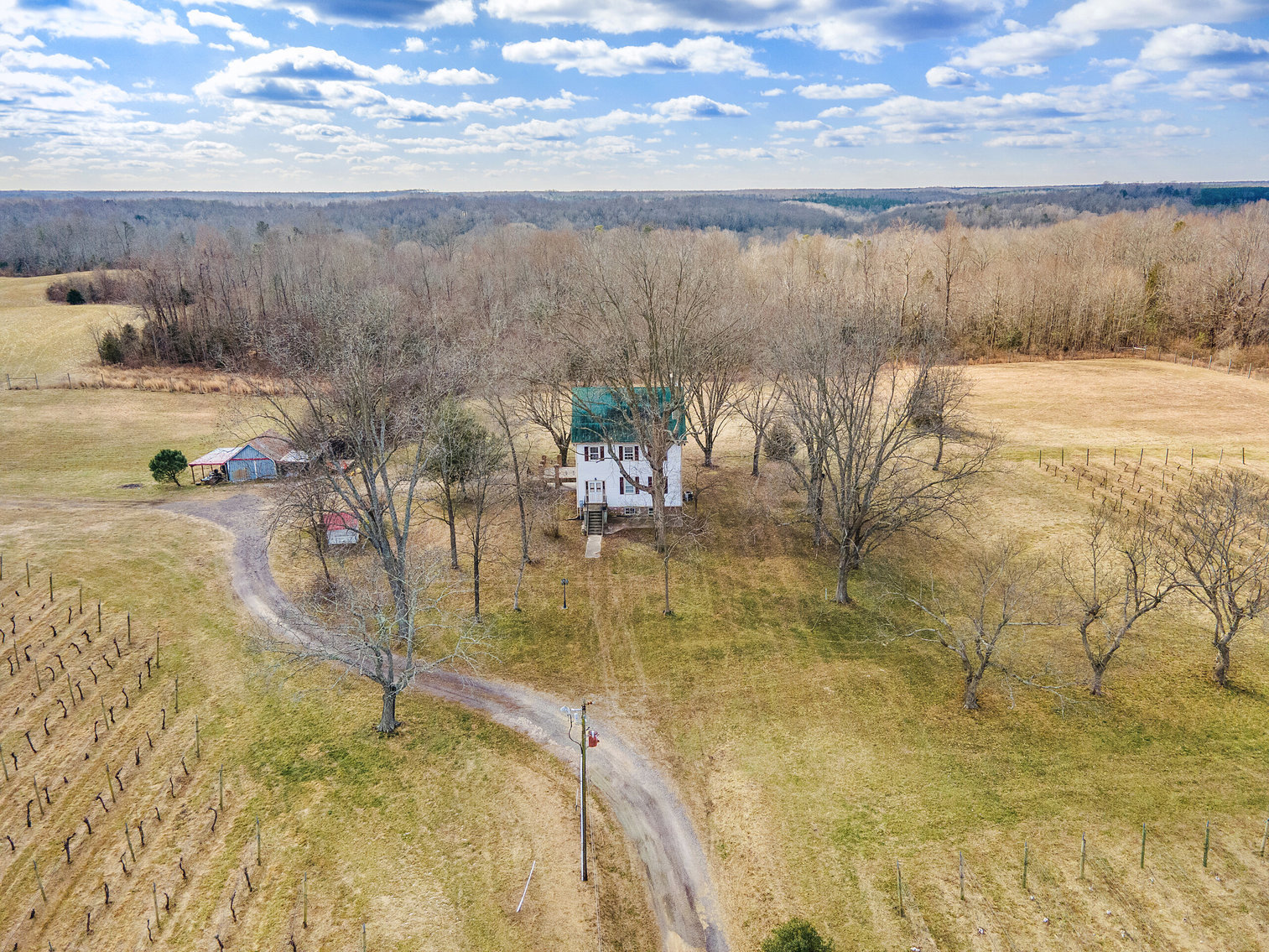 Image for 109 +/- Acres w/3 BR/2 BA Farm House, Outbuildings & Grapevines/Vineyard--Essex County, VA