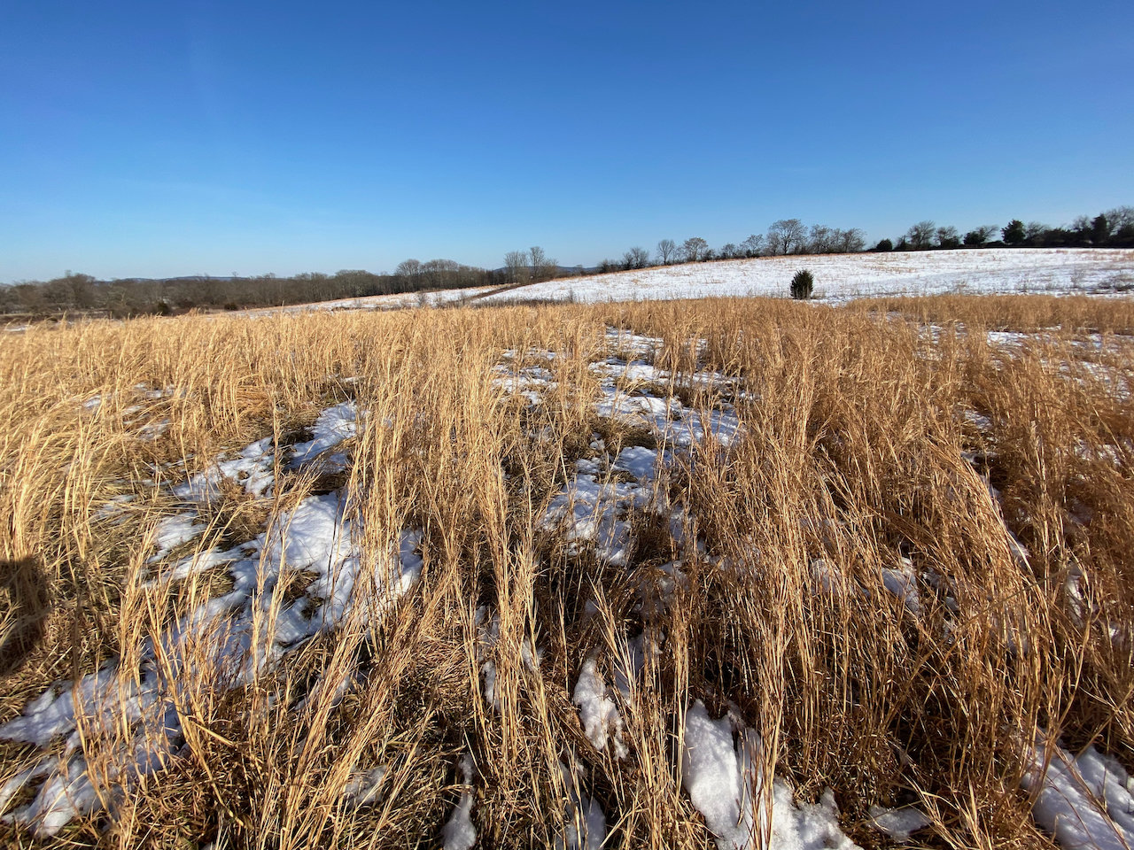 Image for 35 +/- Acres Zoned C-2 & CI-1 in Loudoun County, VA